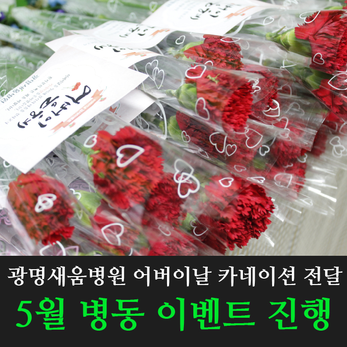 5552ddf56b79e.jpg